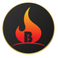 BBBR,Baby BitBurnReflect