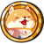 BFDOGE,Baby Falcon Doge
