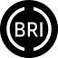BRI,Brightpool