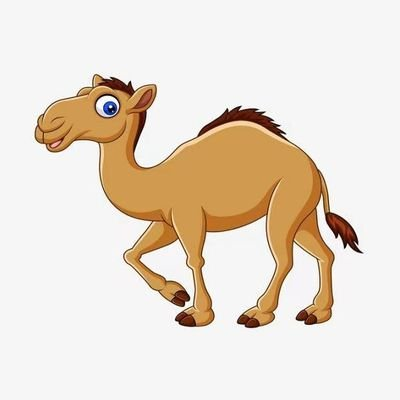 CAMEL,骆驼币,Camel Token