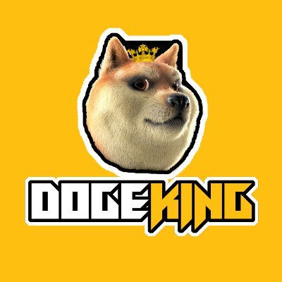 DOGEKING,DogeKing Metaverse