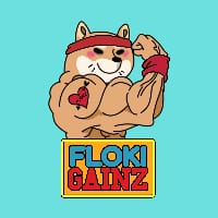 GAINZ,FlokiGainz