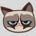 GRUMPY,Grumpy Cat Coin