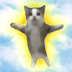 HAPPY,HappyCat