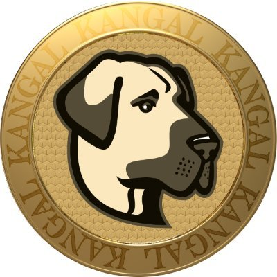 KANGAL,Kangal
