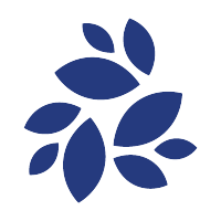 NKN,New Kind of Network