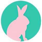 RABBIT,Rabbit Technology