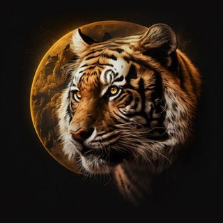 TIGERMOON,TigerMoon